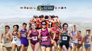 Image post by @thesciac on Instagram