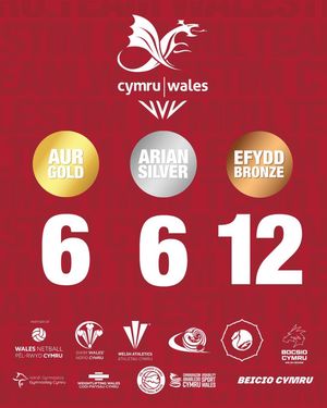 Image post by @team_wales on Instagram