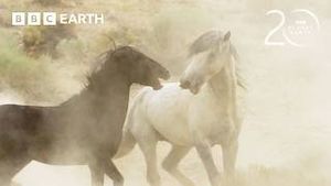 Video post by @bbcearth on YouTube