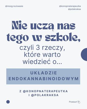 Image post by @mozg.na.kwasie on Instagram