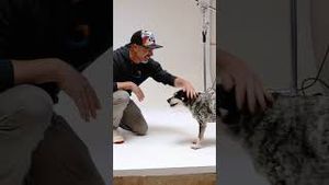 Video post by @adorama on YouTube