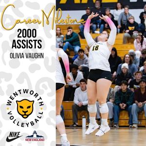 Image post by @witwvb on Instagram