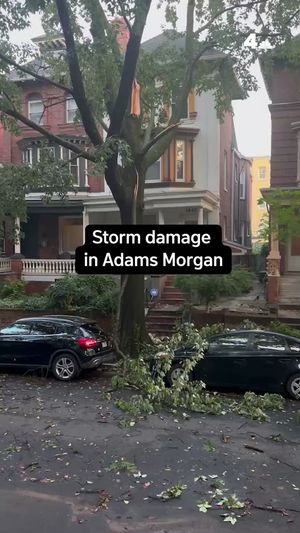 Image post by @nbcwashington on Instagram
