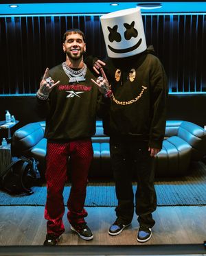 Image post by @anuel on Instagram