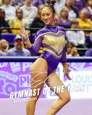 Image post by @lsutigertv on Instagram