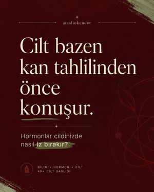 Image post by @asliokender on Instagram