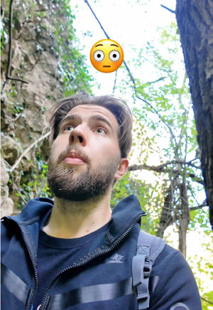 Video post by @sebastian.frateann on TikTok