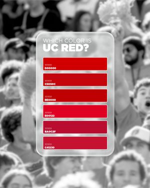 Image post by @uofcincy on Instagram