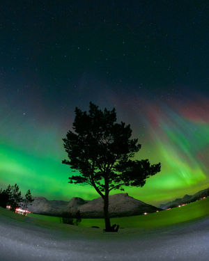 Image post by @gopro on Instagram