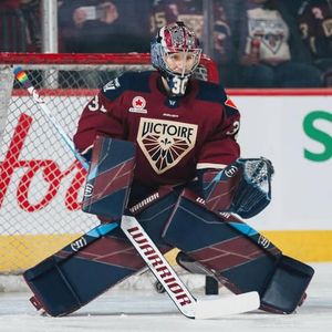 Image post by @goaliegearnerd on Instagram