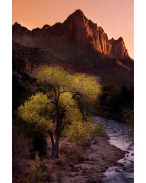 Image post by @nationalparkscollective on Instagram
