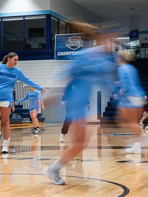 Image post by @nutimberwolves on Instagram