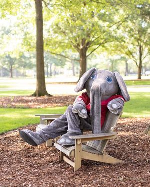 Image post by @ua_admissions on Instagram