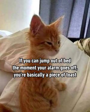 Image post by @9gag on Instagram