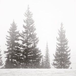 Image post by @outbound_folk on Instagram