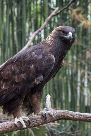Image post by @bhamzoo on Instagram