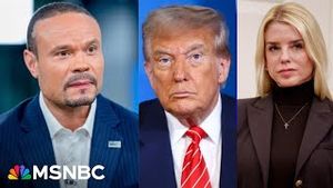 Video post by @msnbc on YouTube