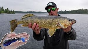 Video post by @lakeforkguy on YouTube