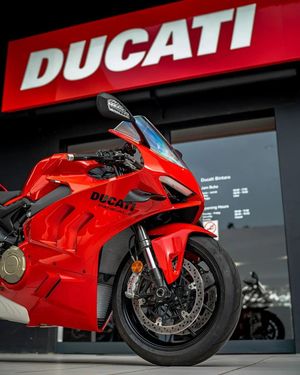 Image post by @panigalers on Instagram