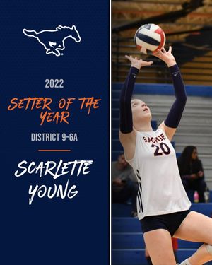 Image post by @sachsevolleyball on Instagram