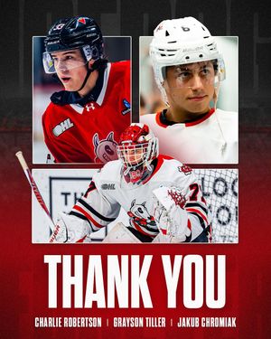 Image post by @ohlicedogs on Instagram