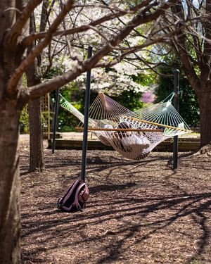 Image post by @unccharlotte on Instagram