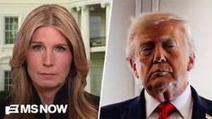 Video post by @msnbc on YouTube