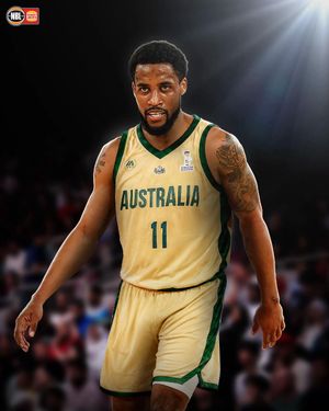 Video post by @nbl on TikTok
