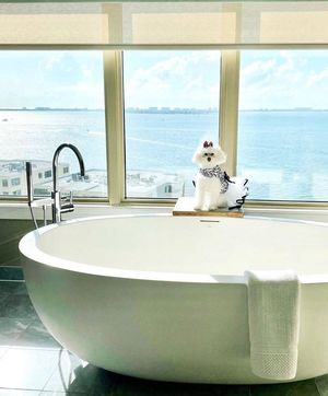 Image post by @AvondaleTravel on Facebook