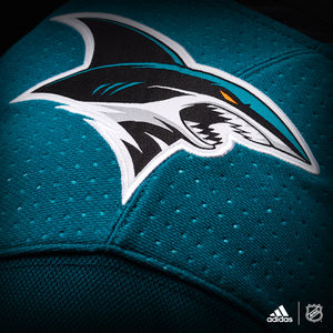 Image post by @sanjosesharks on Instagram
