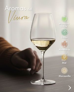 Image post by @riedelpartner_vnzla on Instagram