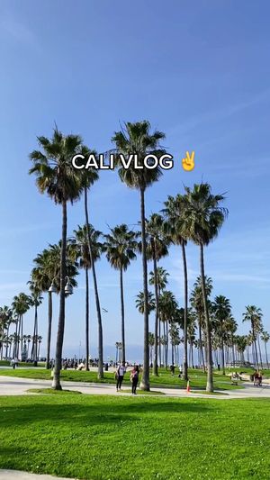 Video post by @kaitdevir on TikTok