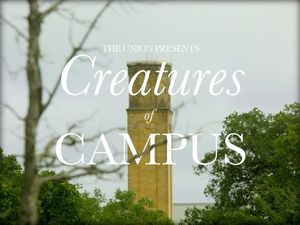 Image post by @untunion on Instagram