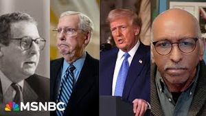 Video post by @msnbc on YouTube