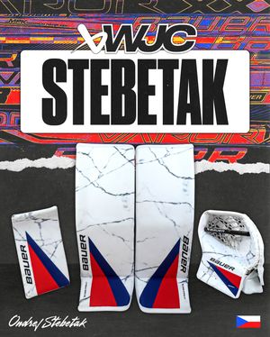 Image post by @bauergoalie on Instagram