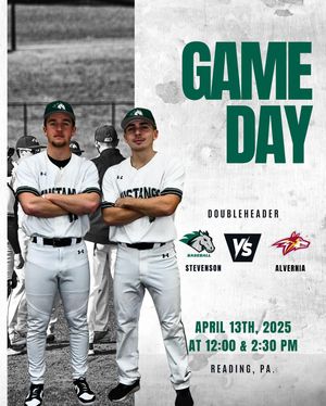 Image post by @stevensonbsb on Instagram
