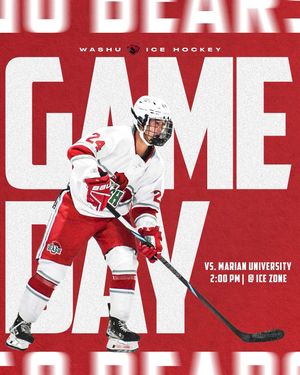 Image post by @washuhockey on Instagram