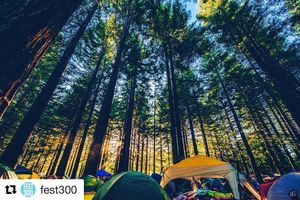 Image post by @nnmfestival on Instagram