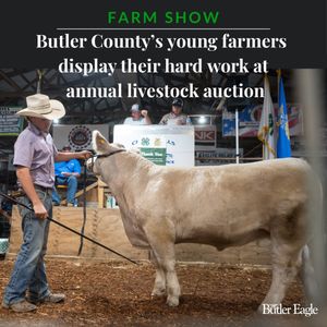 Image post by @butlereaglenews on Instagram