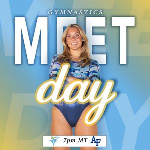 Image post by @liuwgymnastics on Instagram