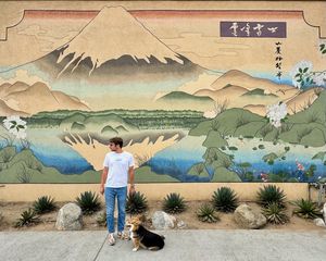 Image post by @merlinisacorgi on Instagram