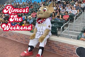 Image post by @chico_epchihuahuas on Instagram