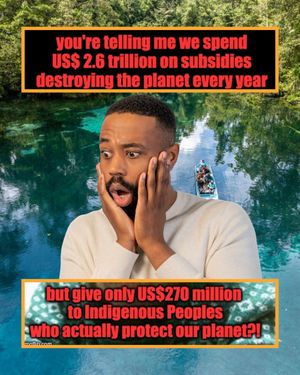 Image post by @greenpeace on Instagram