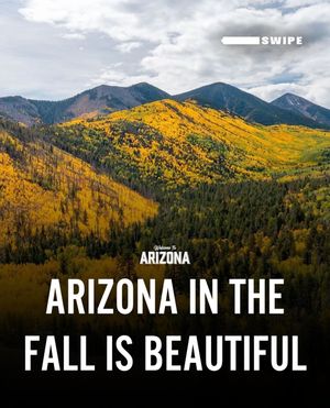 Image post by @welcometoarizona on Instagram