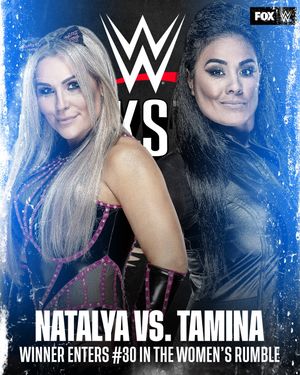 Image post by @wweonfox on Instagram