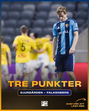 Image post by @fotbolldirekt on Instagram