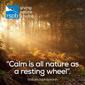 Image post by @rspb on Instagram