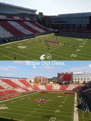 Image post by @wsucougarfb on Instagram