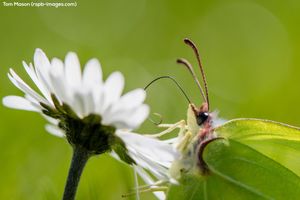 Image post by @rspb on Instagram