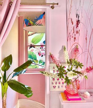 Image post by @annalysejacobs on Instagram